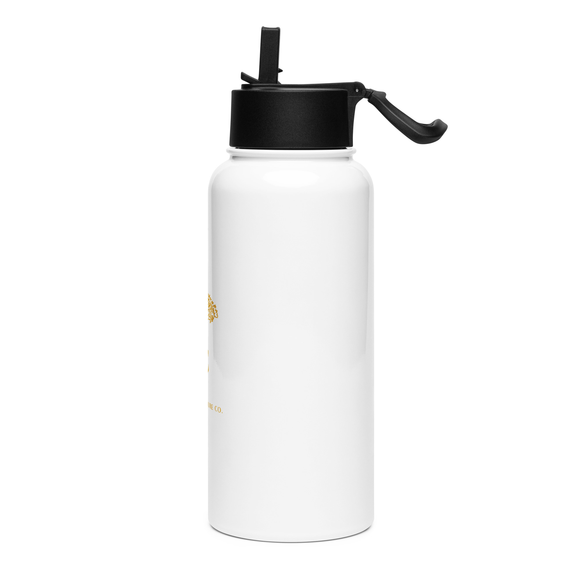 The Kinstructure Company Stainless Steel Water Bottle With a Straw Lid - Image 2