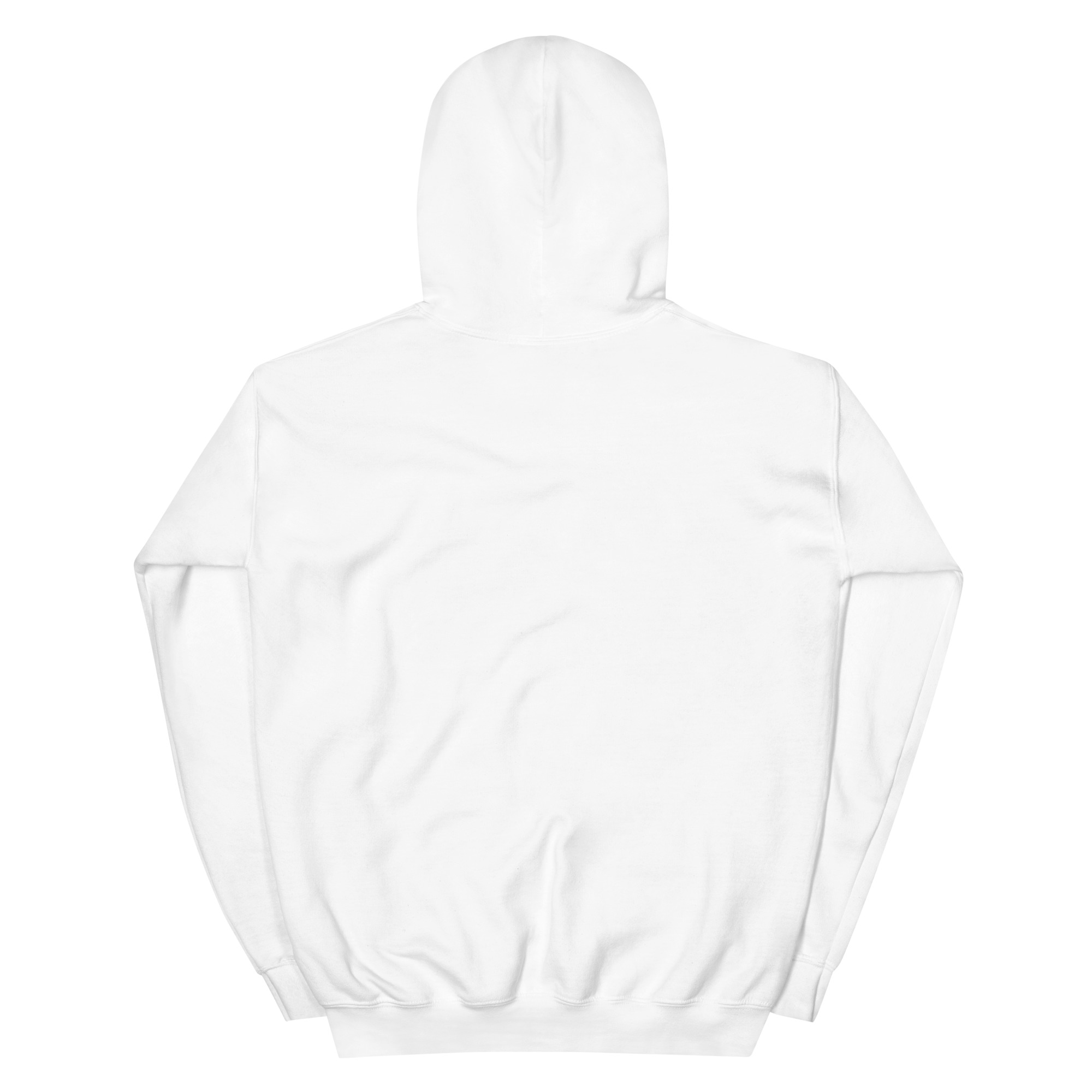 Acadiana Flag Hoodie - Image 11